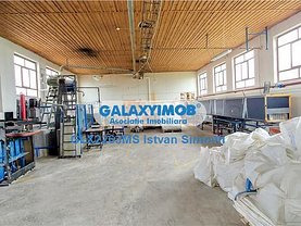 Închiriere spaţiu industrial în Targu Mures, Central