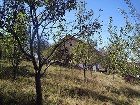 Casa 4 camere în Bistrita, Viisoara