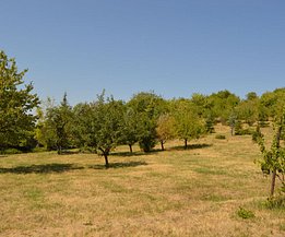 Teren constructii de vânzare, în Oradea, zona Dealuri Oradea