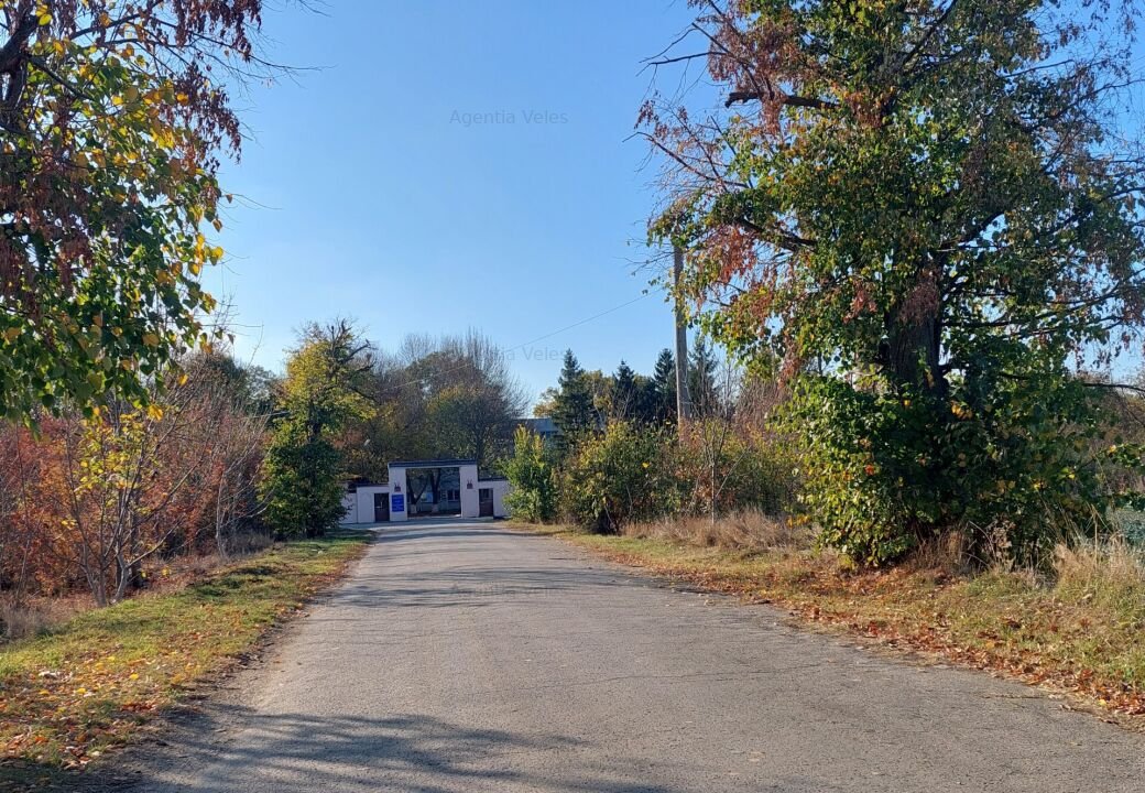 BALOTESTI- Teren1800 mp langa Hornbach