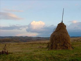 Teren agricol de vânzare, în Lugoj, zona Exterior Vest