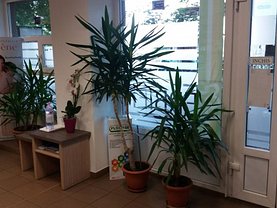 Închiriere spaţiu comercial