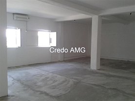 Închiriere spaţiu industrial în Dobroesti
