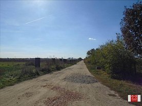 Teren agricol de vânzare, în Arad, zona Nord-Vest
