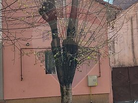 Casa de vânzare 4 camere, în Arad, zona Boul Rosu