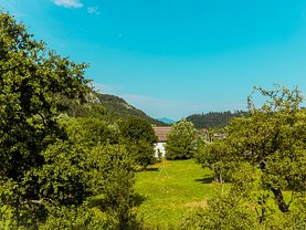 Casa de vânzare 18 camere, în Bran