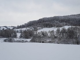 Teren constructii de vânzare, în Lunca Ozunului