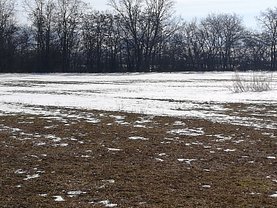Teren agricol de vânzare, în Tărlungeni