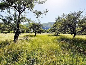 Teren constructii de vanzare, în Bran