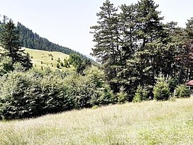 Teren constructii de vânzare, în Săcele, zona Baciu