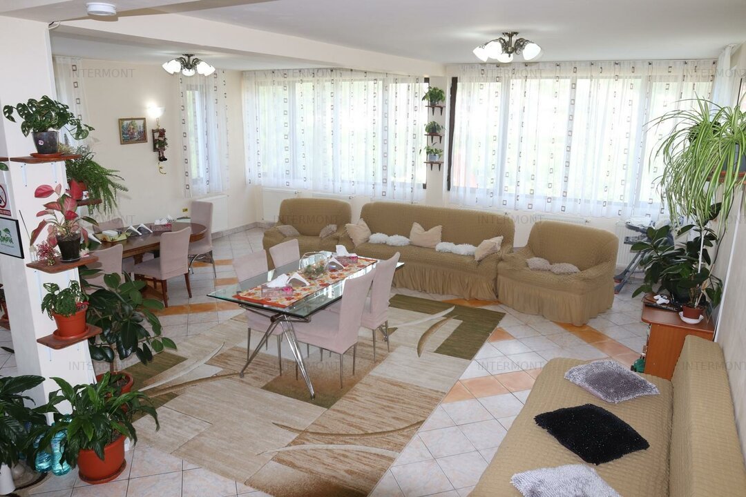 Vila Busteni - Zamora