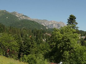Teren constructii de vânzare, în Sinaia, zona Furnica