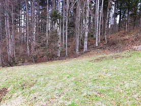 Teren constructii de vânzare, în Sinaia, zona Platoul Izvor