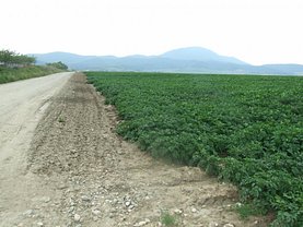 Teren agricol de vânzare, în Codlea, zona Central