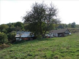 Vânzare ferma