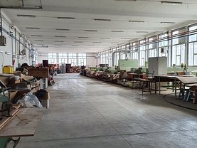Închiriere spaţiu industrial în Brasov, Astra