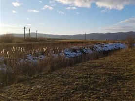 Teren agricol de vânzare, în Braşov, zona Central