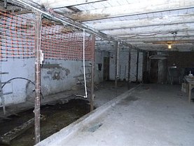 Vânzare spaţiu industrial