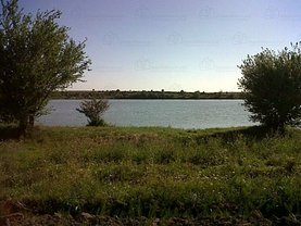 Teren agricol de vânzare, în Barbuceanu