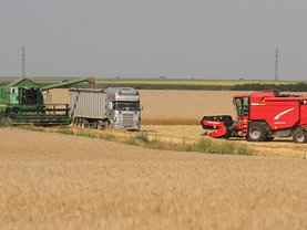 Teren agricol de vânzare, în Arad, zona Exterior Vest