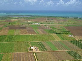 Teren agricol de vânzare, în Arad, zona Sud