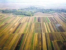 Teren agricol de vânzare, în Arad, zona Sud