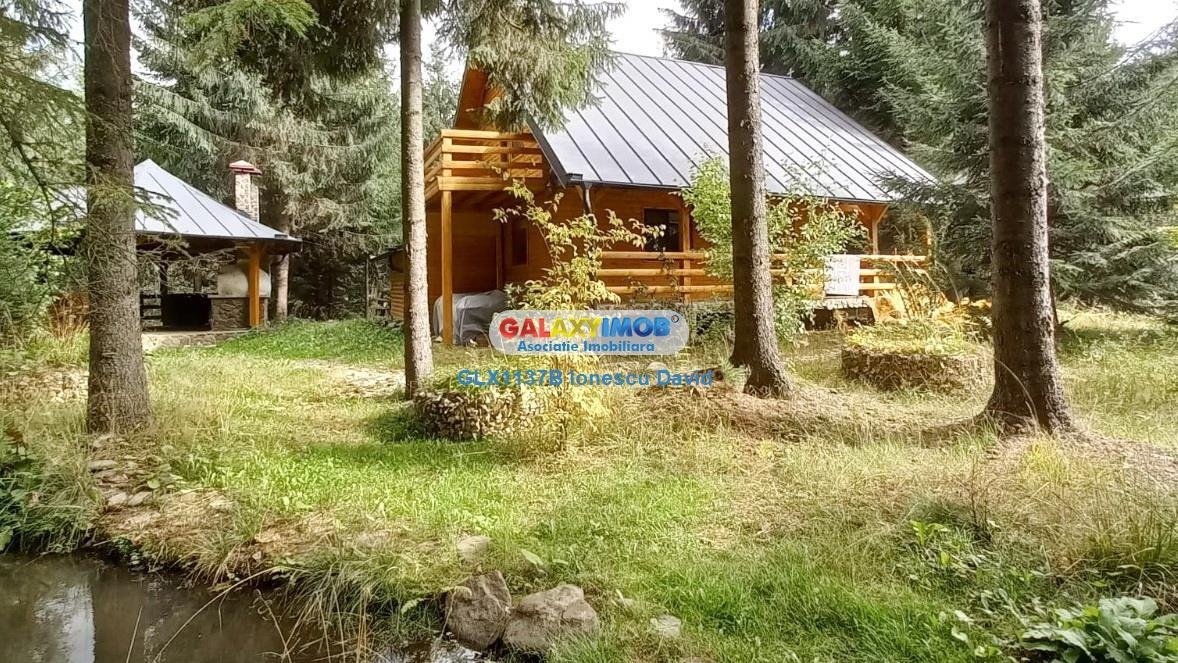 Cabana pitoreasca de vanzare intorsura Buzaului, Covasna, Comandau