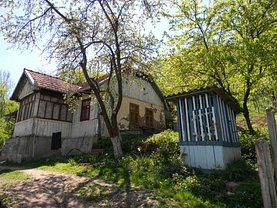 Casa de vânzare 2 camere, în Băiţa
