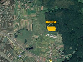 Teren padure de vânzare, în Brănişca