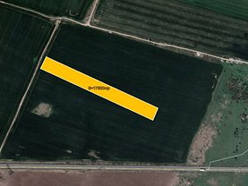 Teren agricol de vânzare, în Dumbrăviţa