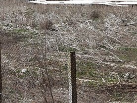 Teren constructii de vânzare, în Cristeşti