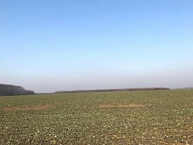 Teren agricol de vânzare, în Găneasa, zona Sud-Vest