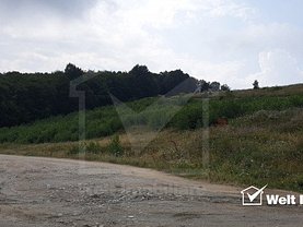 Teren padure de vânzare, în Feleacu