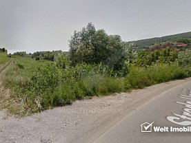Teren agricol de vânzare, în Chinteni