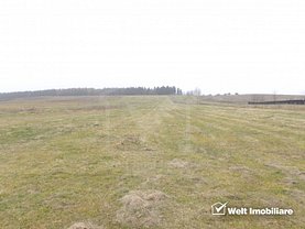 Teren agricol de vânzare, în Salistea Noua, zona P-ta Mihai Viteazul