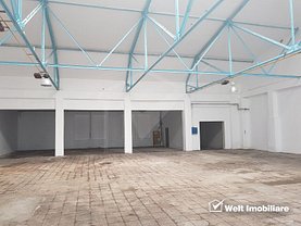Închiriere spaţiu industrial în Cluj-Napoca, Iris