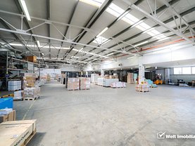 Închiriere spaţiu industrial