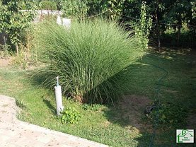 Casa de vânzare 4 camere, în Arad, zona Central