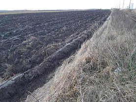 Teren agricol de vânzare, în Curtici, zona Central