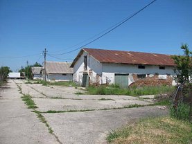 Închiriere ferma în Darasti-Ilfov