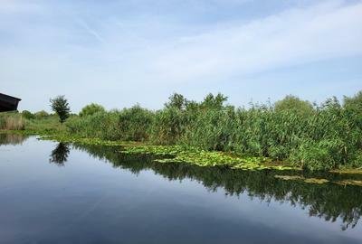 VANZARE SNAGOV LAC VILA DE EXCEPTIE LA UN PRET EXCELENT