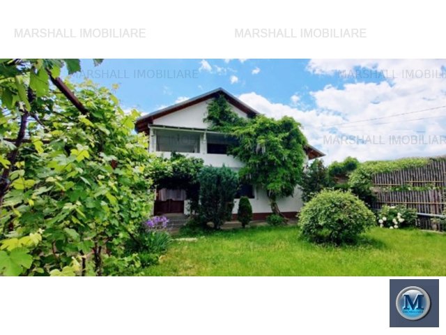 Vila cu 7 camere de vanzare in Gageni, 336.3 mp #14977