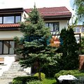 Casa de închiriat 8 camere, în Bucureşti, zona Băneasa