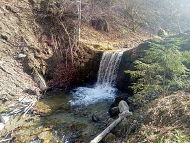 Teren agricol de vânzare, în Rau Sadului