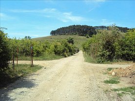 Teren constructii de vânzare, în Sanpetru