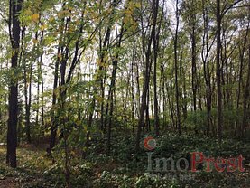 Teren constructii de vânzare, în Dragomiresti-Deal