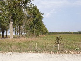Teren agricol de vânzare, în Afumaţi