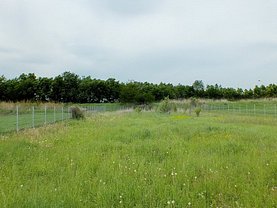 Teren constructii de vânzare, în Stupinii Prejmerului