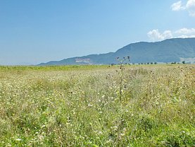Teren constructii de vânzare, în Cristian