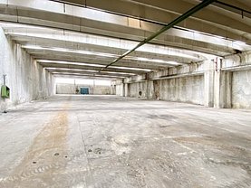 Închiriere spaţiu industrial în Brasov, Astra